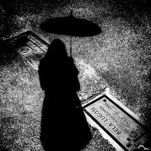 Meet your Posher, Stephi